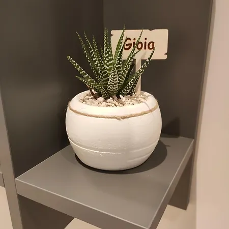 Private Parking - Athena Nel Cuore Di