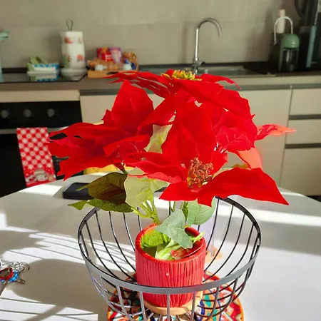 Private Parking - Athena Nel Cuore Di 公寓